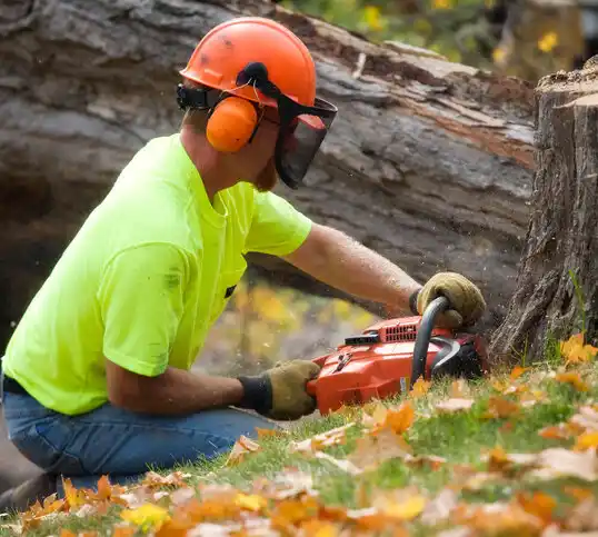 tree services Crystal Falls